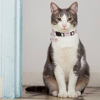 Amazon | YUXIANLB 3個パック 分離式猫用首輪 かわいい花の